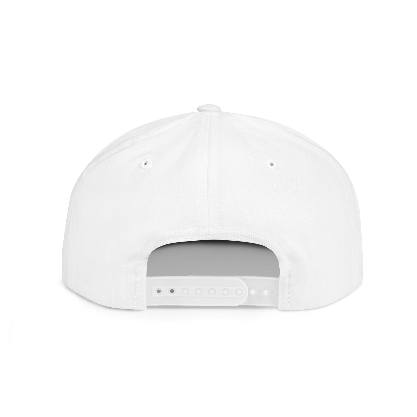 Laravel "Glacier" Snapback